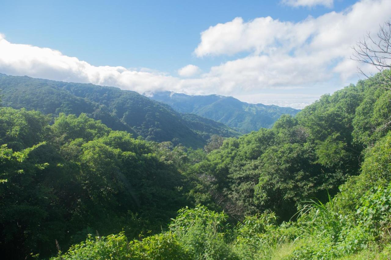 La Casa Bonita Apartment Monteverde Екстериор снимка