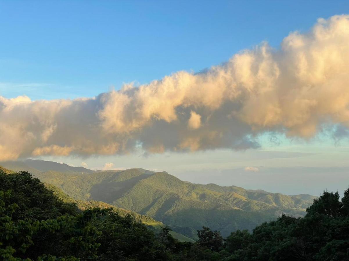La Casa Bonita Apartment Monteverde Екстериор снимка